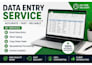 do data entry, excel invoice, copy paste and word work